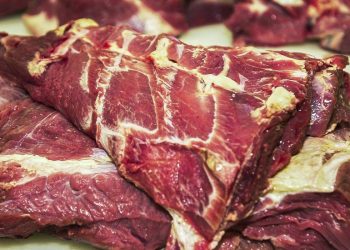 Rússia retira embargo à importação de carne bovina brasileira